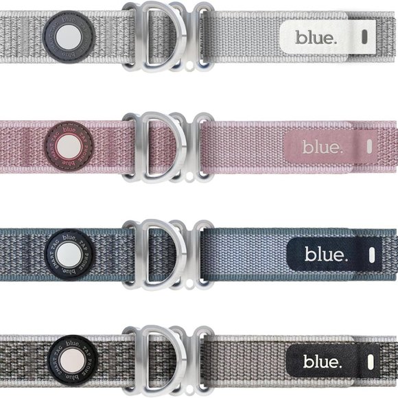 Dog Collar with‎ CloudTag by Blue - Picture 1 of 9